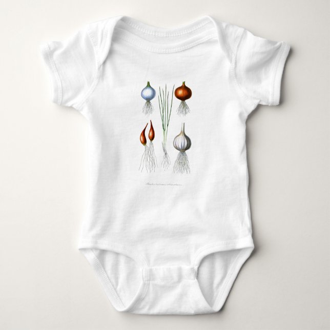 Vintage Onion Garlic Botanical Print Baby Bodysuit (Front)
