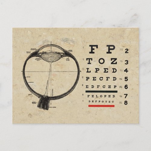 Vintage Ophthalmologist Postcard