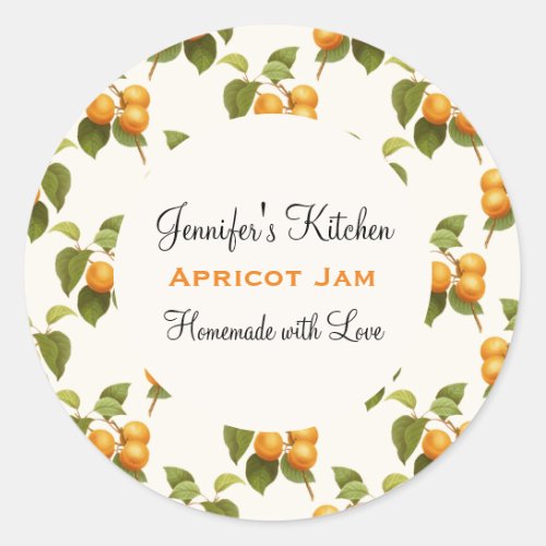 Vintage Orange Apricot Watercolor Pattern Kitchen Classic Round Sticker