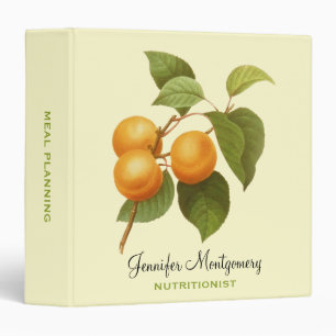 Vintage Orange Apricots Watercolor Drawing 3 Ring Binder