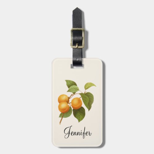 Vintage Orange Apricots Watercolor Drawing Luggage Tag