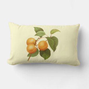 Vintage Orange Apricots Watercolor Drawing Lumbar Pillow