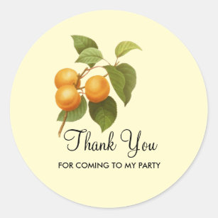 Vintage Orange Apricots Watercolor Drawing Party Classic Round Sticker