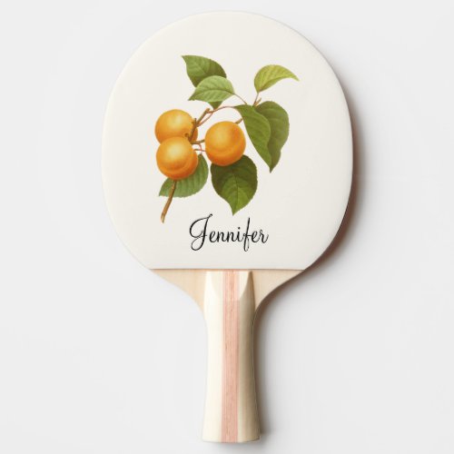 Vintage Orange Apricots Watercolor Drawing Ping Pong Paddle