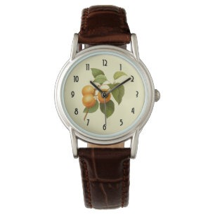 Vintage Orange Apricots Watercolor Drawing Watch