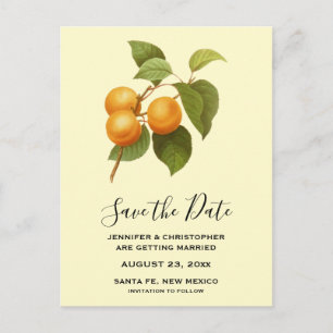 Vintage Orange Apricots Watercolor Save the Date Postcard