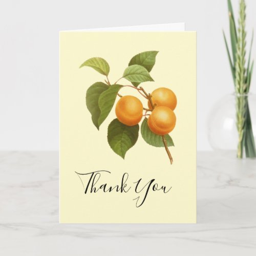 Vintage Orange Apricots Watercolor Thank You Card