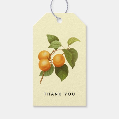 Vintage Orange Apricots Watercolor Thank You Gift Tags