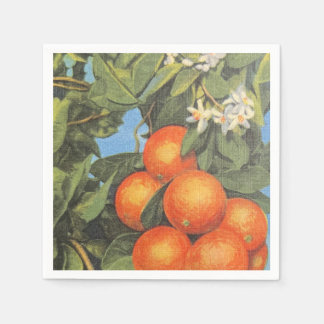 Vintage Orange Blossom Citrus Napkins