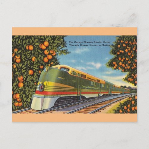 Vintage Orange Blossom Special Train FL Postcard