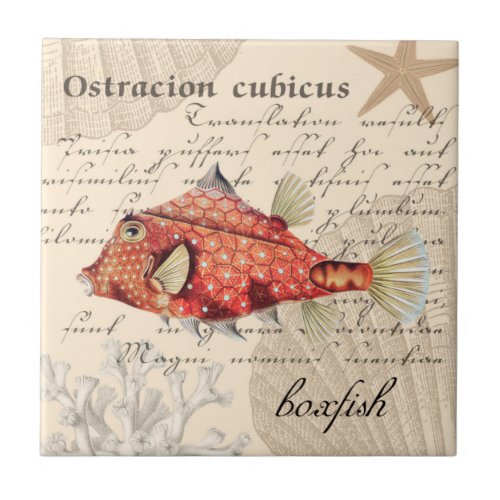 Vintage Orange Boxfish Illustration Nautical Ceramic Tile