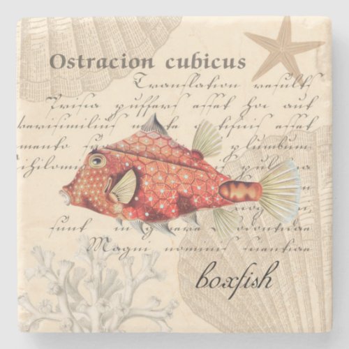 Vintage Orange Boxfish Illustration Nautical Stone Coaster