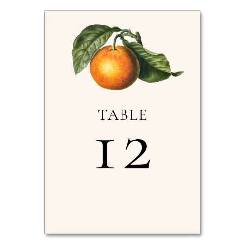Vintage Orange Citrus Greenery Botanical Wedding Table Number