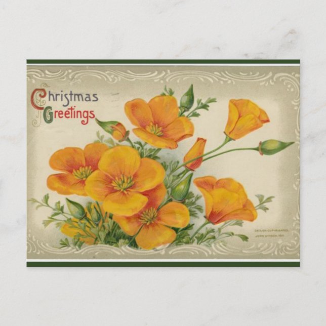 Vintage Orange Flowers Christmas Postcard (Front)