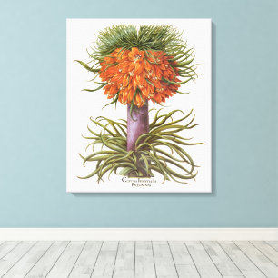 Vintage Orange Fritillaria Flowers Basilius Besler Canvas Print