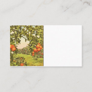 Vintage Orange Grove Business Card