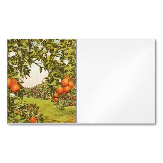 Vintage Orange Grove Business Card Magnet