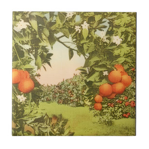 Vintage Orange Grove Ceramic Tile