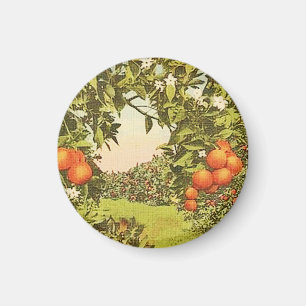Vintage Orange Grove Magnet