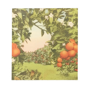 Vintage Orange Grove Notepad