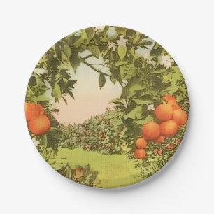 Vintage Orange Grove Paper Plates