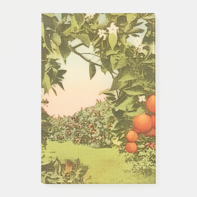 Vintage Orange Grove Post-it Notes (Front)