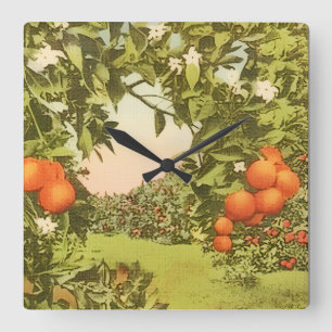Vintage Orange Grove Square Wall Clock