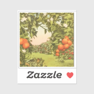 Vintage Orange Grove Sticker