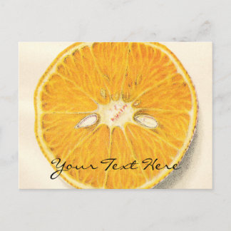 Vintage Orange Postcard