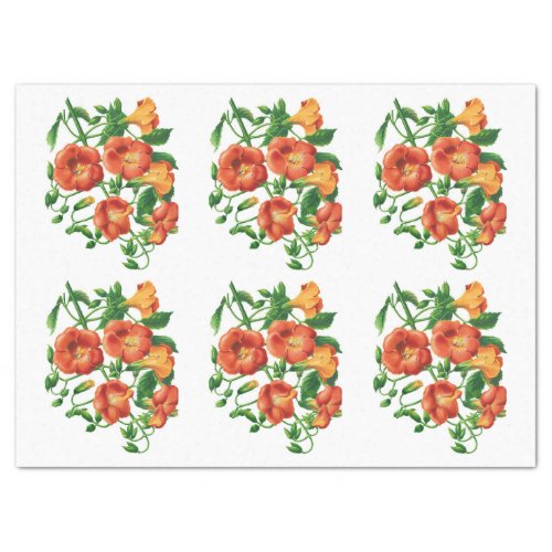 Vintage Orange Yellow Flower Decoupage Tissue Paper