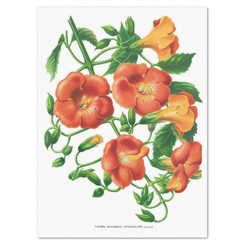 Vintage Orange Yellow Flower Decoupage Tissue Paper