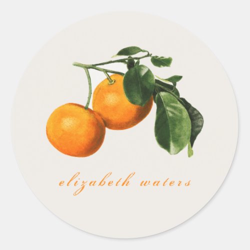 VINTAGE ORANGES CUSTOMIZABLE ENVELOPE SEAL