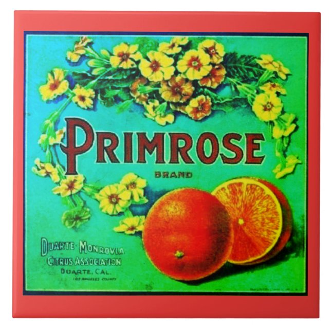 Vintage oranges fruit advertisement label ceramic tile (Front)