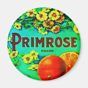 Vintage oranges fruit advertisement label floral magnet