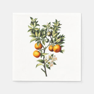 Vintage Oranges Napkins