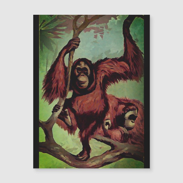 Vintage orangutans on a tree  (Front)