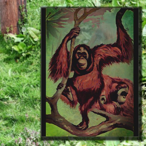 Vintage orangutans on a tree  postcard