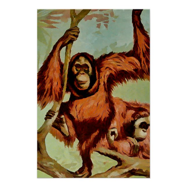 Vintage orangutans on a tree -  poster (Front)