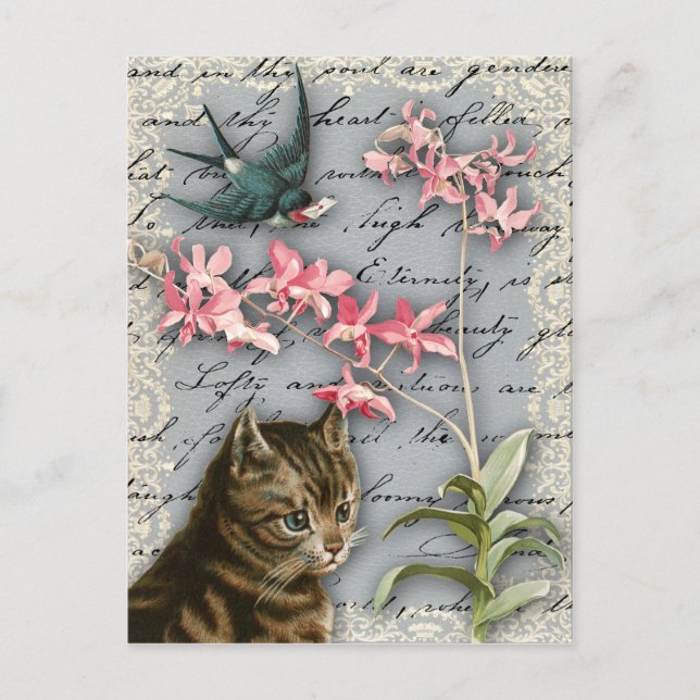 Vintage Orchid Collage Postcard (Front)