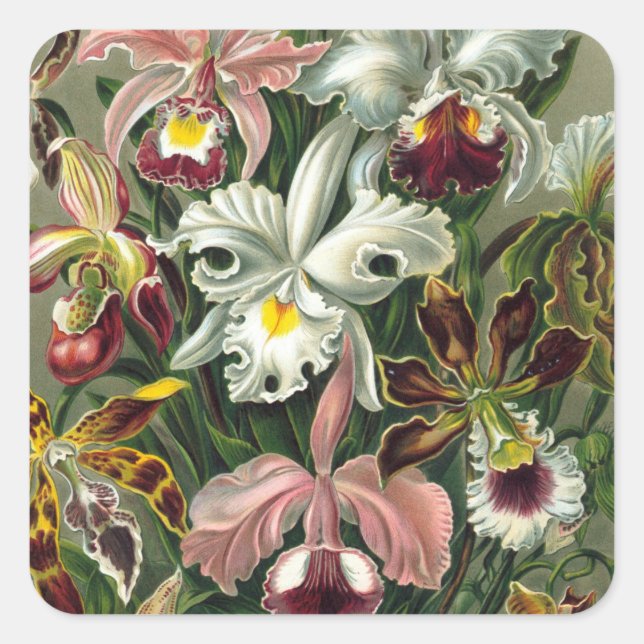 Vintage Orchid Stickers (Front)