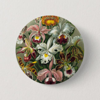 Vintage Orchids Illustration Pinback Button