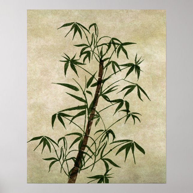 Vintage Oriental Bamboo 1 Poster (Front)