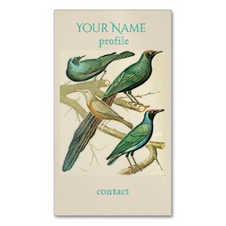 Vintage Ornithology