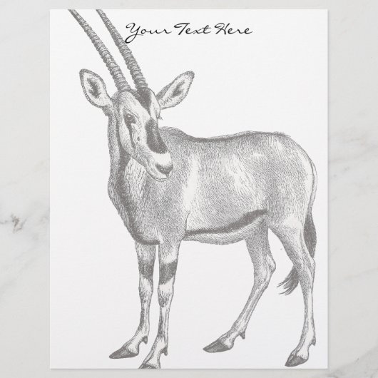 Vintage Oryx Letterhead (Front)