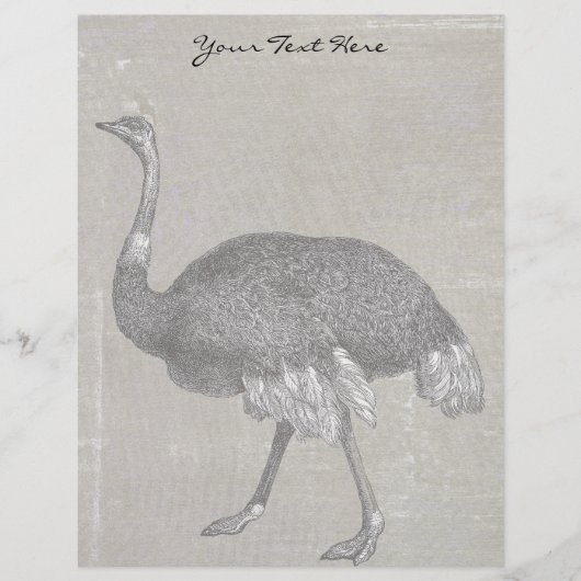 Vintage Ostrich (Front)