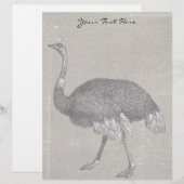 Vintage Ostrich (Front/Back)