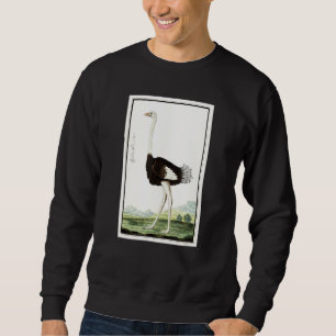 Vintage Ostrich Bird Animal Illustration Ostrich L Sweatshirt