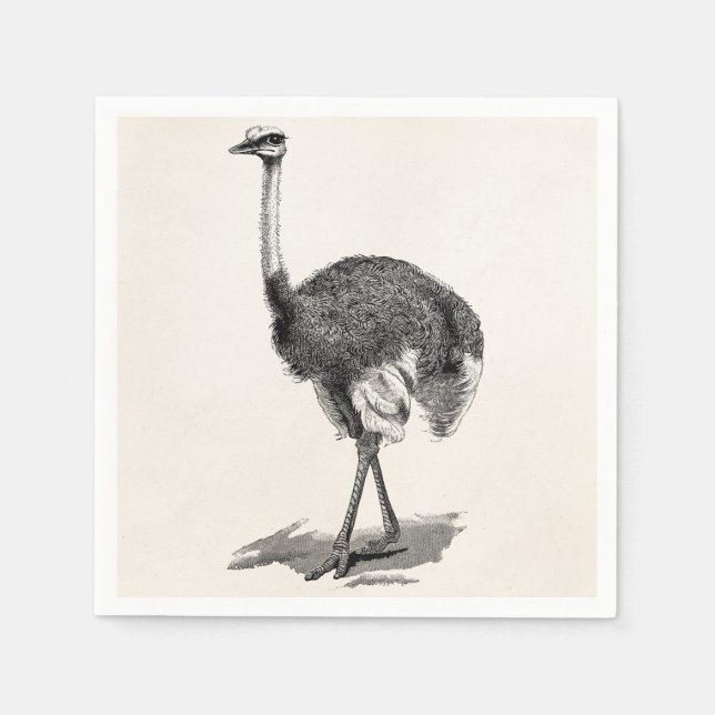 Vintage Ostrich Bird Antique Birds Template Napkins (Front)