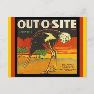 Vintage Out-o-site Ostrich citrus crate Postcards