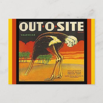 Vintage Out-o-site Ostrich Citrus Crate Postcards by layooper at Zazzle